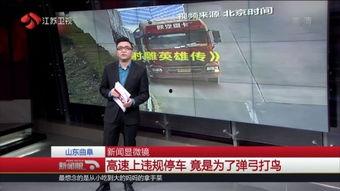 沧州市新闻爆料电话,倾听民声，传递正义  第2张