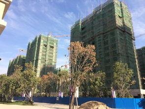 长春公馆爆料最新消息  第3张